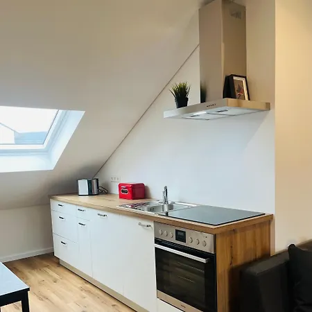 Loft Apartment Bad Sackingen
