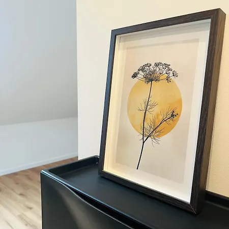 Appartement Loft Bad Säckingen