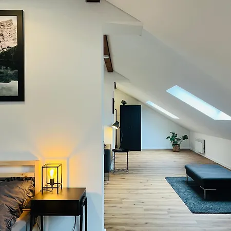 Appartement Loft *