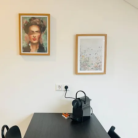 Loft Appartement Bad Säckingen